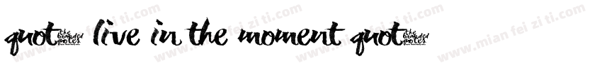 quot; live in the moment quot;字体转换